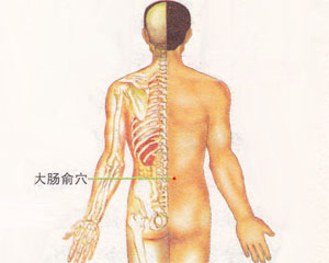 大肠腧穴.jpg