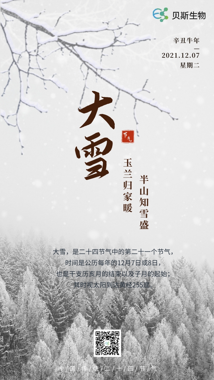 大雪-贝斯.jpg